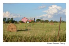 Barn & Round Bale #4001