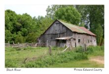 Barn Shed Black River #3648