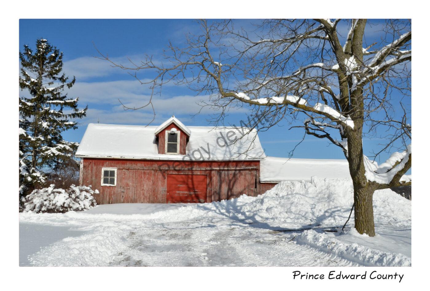 Barn Shed Bloomfield Winter #3079
