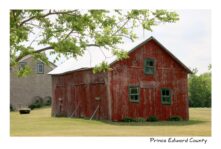 Barn Shed Melville  #3126