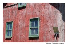 Barn Shed Melville Windows  #3127