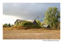 Barn Sumac Fall #3531