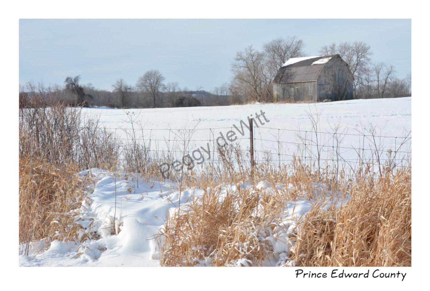 Barn Winter PEC #3649