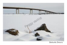 Belleville Bridge Snow Winter #2781