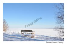 Bench Cressy Winter #4351