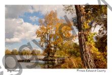 Big Island Scene Fall #4006