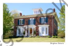 Brighton Proctor House #3538