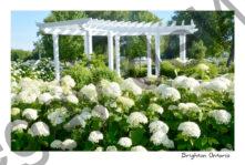 Brighton Rotary Park #3660