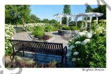 Brighton Rotary Park #4211