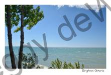 Brighton Shore #3662