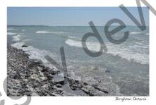 Brighton Shore Waves #4212