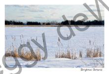 Brighton Shore Winter #4537