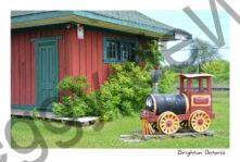 Brighton Train Station #3539