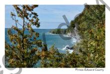 Cape Vessey Fall Kidnew #4019