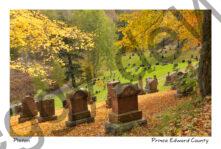 Cemetery Glenwood  Fall #3085