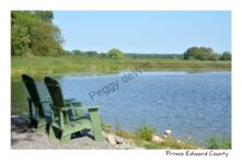 Chairs East Lake View #4219