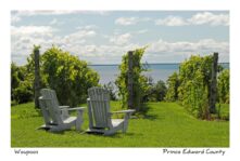 Chairs PEC Waupoos #1696