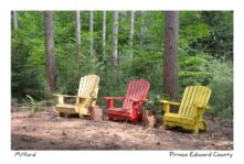 Chairs Red and Yellow #3908