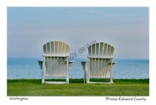 Chairs White Wellington #3161