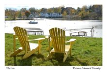 Chairs Yellow Picton Harbour #3163