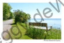 Cressy Bench Lakeside #4361