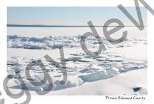 Cressy Shore Icy #4359