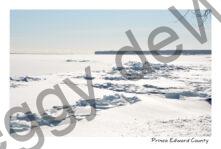 Cressy Shore Icy Winter #4360