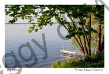 Dock Big Island Shore #4226