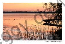 Dock East Lake Sunrise #4569