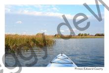 East Lake Kayak #4229