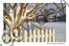 Fence Picket Macaulay Winter #3190