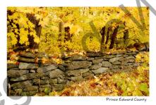 Fence Rock Fall 3 #1819