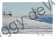 Field Snow Winter #2378