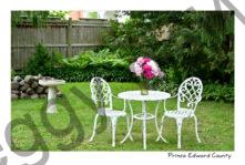 Flowers Peonies On Table #4618