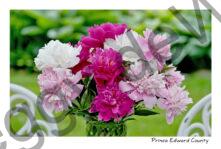 Flowers Peony Bouquet #4726