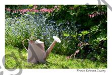 Flowers Watering Can Orange #4373