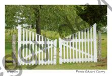 Gate Rose Cemetery Waupoos #3730