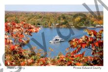 Glenora Ferry Sumac Fall #3260