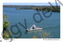 Glenora Ferry Summer View #4700