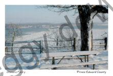 Glenora Ferry Winter Table #1541