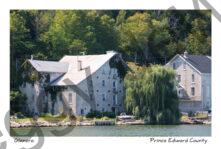 Glenora Fisheries Fall #3572