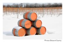 Hillier Winery Sandbanks Winter #2172