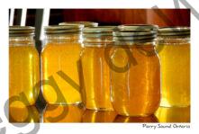 Honey Parry Sound #3735