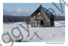 House Ben Gill Winter #3738