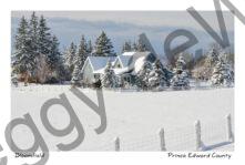 House Fence Prinzen Winter #3270