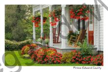 House Porch Impatience #1727