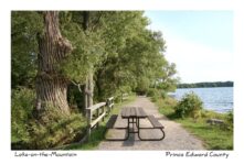 Lake on Mt Picnic Table #3579