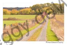 Lane Big Island Fall #4172