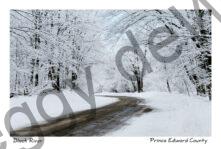 Lane Black River Winter #278