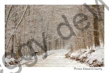 Lane Storms Road Winter #2179